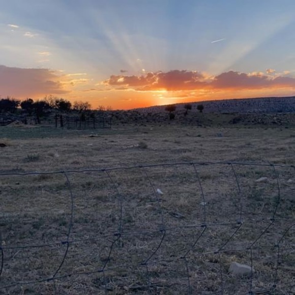 Meet your Posher, Audri - Picture 1 of 1